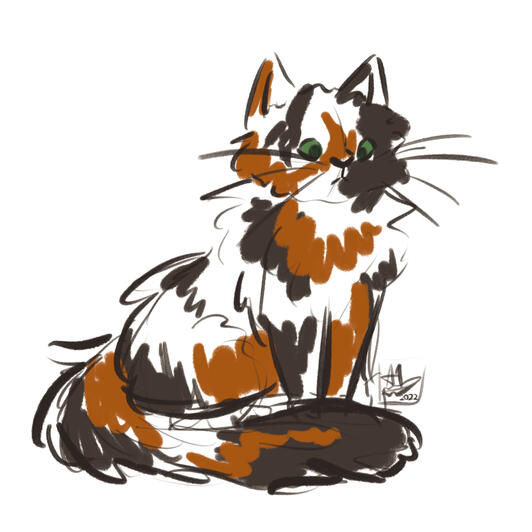 dumpling the cat (oc)